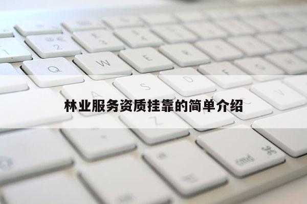 林业服务资质挂靠的简单介绍