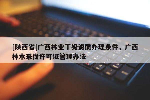 [陕西省]广西林业丁级资质办理条件，广西林木采伐许可证管理办法