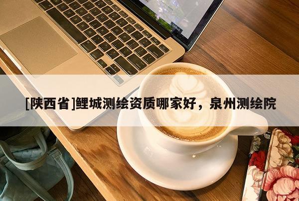 [陕西省]鲤城测绘资质哪家好，泉州测绘院