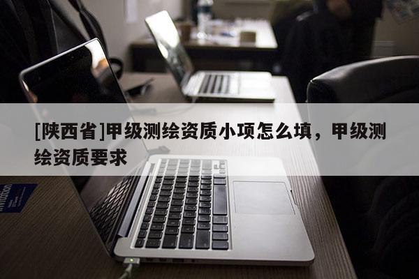 [陕西省]甲级测绘资质小项怎么填，甲级测绘资质要求