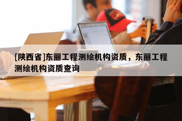 [陕西省]东丽工程测绘机构资质，东丽工程测绘机构资质查询