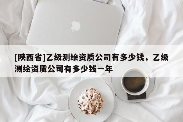 [陕西省]乙级测绘资质公司有多少钱，乙级测绘资质公司有多少钱一年