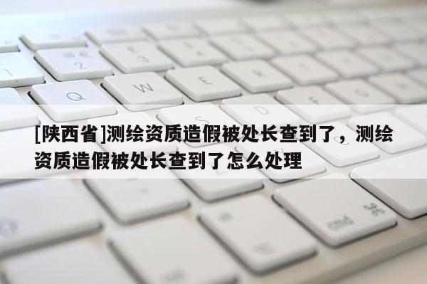 [陕西省]测绘资质造假被处长查到了，测绘资质造假被处长查到了怎么处理