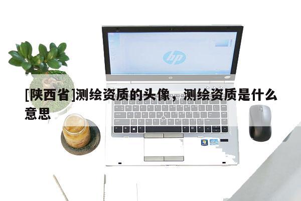 [陕西省]测绘资质的头像，测绘资质是什么意思