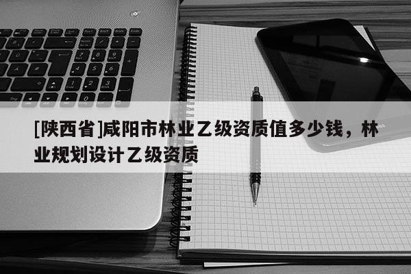 [陕西省]咸阳市林业乙级资质值多少钱，林业规划设计乙级资质